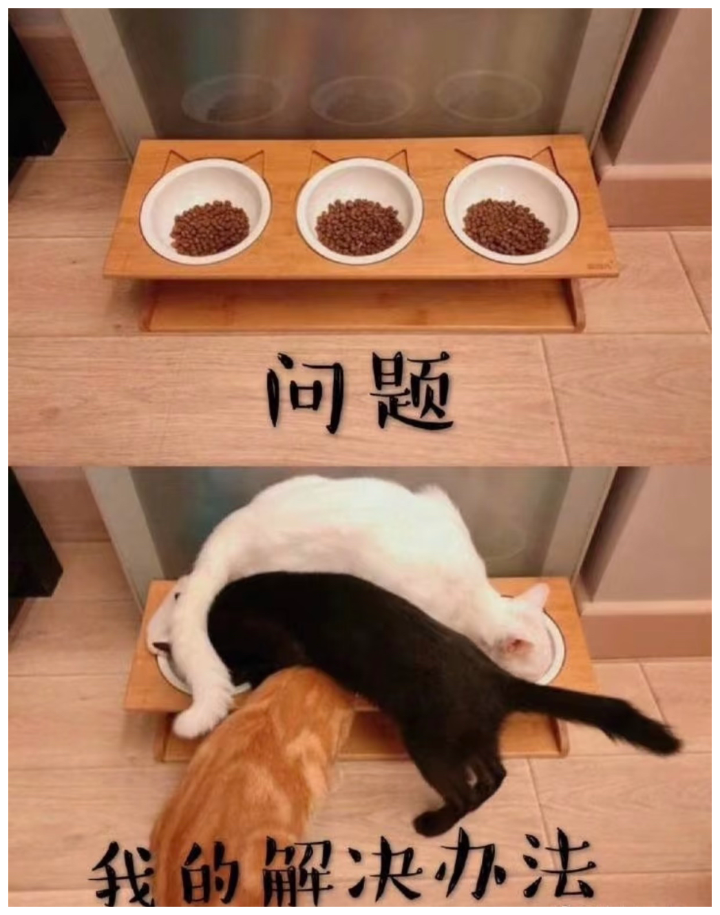 第 71 页图片